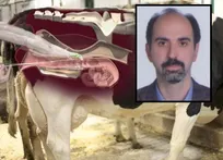 درخواست ابلاغ شیوه&zwnj;نامه اجرایی احداث مراکز تلقیح مصنوعی برای اعضای سازمان نظام دامپزشکی