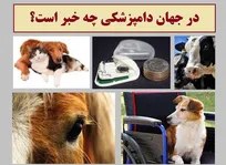در جهان دامپزشکی چه خبر است؟ از ژن&zwnj;تراپی و درمان دیستروفی عضلانی در سگ&zwnj;ها تا ابداع دستگاه سنجش سریع آنزیم لیپاز حیوانات