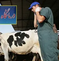کانون سراسری انجمن&zwnj;های صنفی مراکز درمانی و مایه&zwnj;کوبی دامپزشکی خواستار افزایش امتیاز لازم برای صدور پروانه مراکز درمانی و یکسان نمودن آن با امتیاز داروخانه&zwnj;های دامپزشکی شد