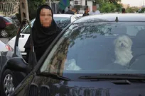حیوان&zwnj;گردی جرم محسوب می&zwnj;شود/ با رانندگان حیوان&zwnj;گردان در سطح شهر برخورد می&zwnj;شود