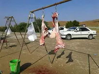 &laquo;تابناک ایلام&raquo; در یادداشتی مدعی شکست طرح کشتار بهداشتی دام و طیور در استان ایلام به علت فقدان پشتوانه کارشناسی شد!